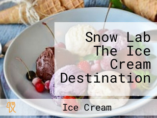 Snow Lab The Ice Cream Destination