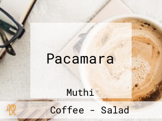 Pacamara