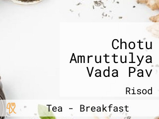 Chotu Amruttulya Vada Pav