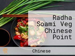 Radha Soami Veg Chinese Point