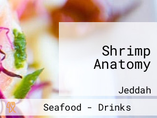 Shrimp Anatomy