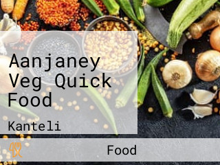 Aanjaney Veg Quick Food