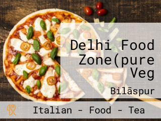 Delhi Food Zone(pure Veg