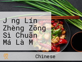 Jǐng Lín Zhèng Zōng Sì Chuān Má Là Mǐ Xiàn Chinese Noodle