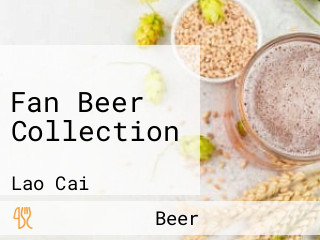 Fan Beer Collection