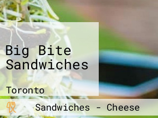 Big Bite Sandwiches