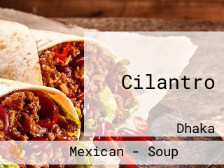 Cilantro