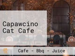 Capawcino Cat Cafe