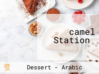 ‪camel Station‬