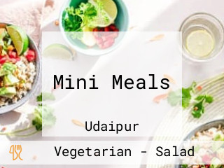 Mini Meals