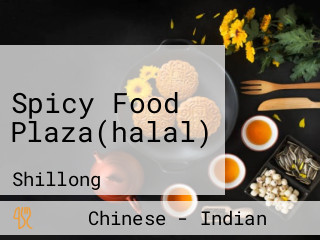 Spicy Food Plaza(halal)