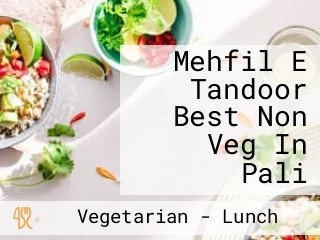 Mehfil E Tandoor Best Non Veg In Pali