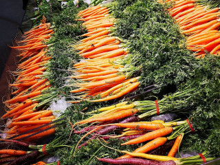 Bunbury Farmer's Market