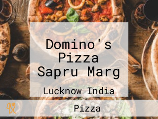 Domino's Pizza Sapru Marg