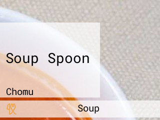 Soup Spoon