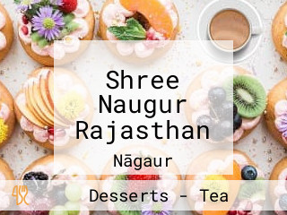 Shree Naugur Rajasthan