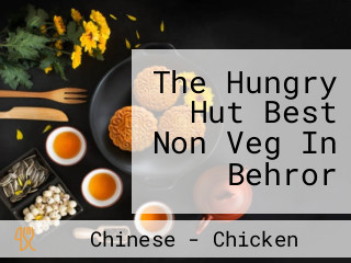 The Hungry Hut Best Non Veg In Behror