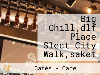 Big Chill,dlf Place Slect City Walk,saket