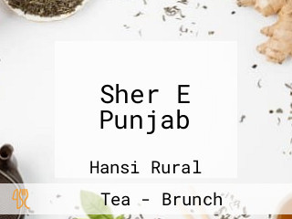 Sher E Punjab