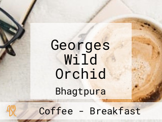 Georges Wild Orchid