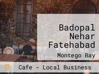 Badopal Nehar Fatehabad