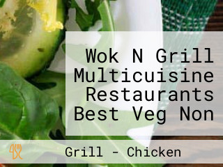 Wok N Grill Multicuisine Restaurants Best Veg Non Veg Restaurants In Sirsa