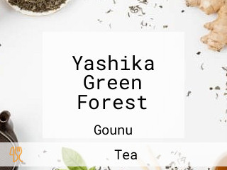 Yashika Green Forest