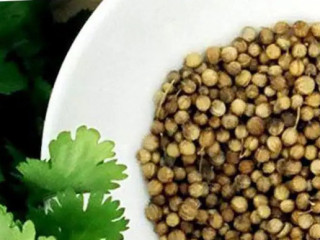 Coriander