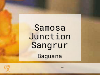 Samosa Junction Sangrur