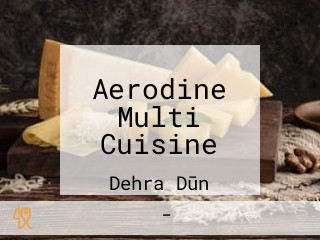 Aerodine Multi Cuisine