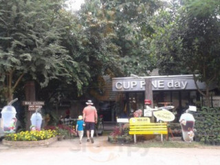 Cup Fine Day Coffee And Cuisine