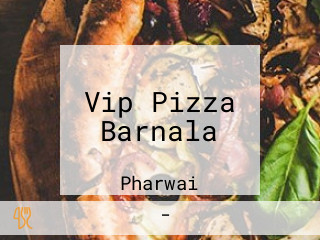 Vip Pizza Barnala