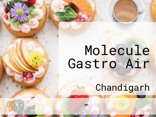 Molecule Gastro Air