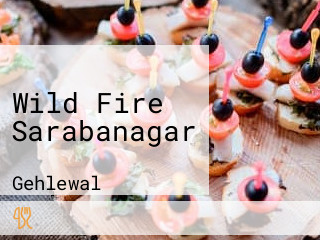 Wild Fire Sarabanagar