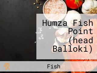 Humza Fish Point (head Balloki)