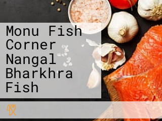 Monu Fish Corner Nangal Bharkhra Fish