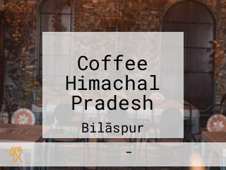 Coffee Himachal Pradesh