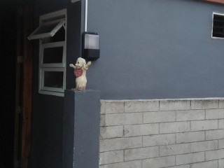 Tarapumwesto Tapahaws