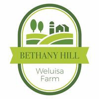 Bethany Hill, Weluisa Farm