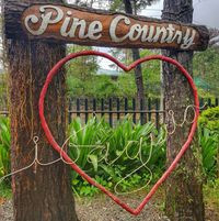 Pine Country Steaks And Waffles
