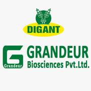 Digant Organic Green Tea