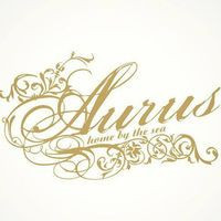 Aurus Lounge