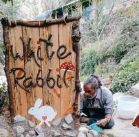 White Rabbit The Friends House