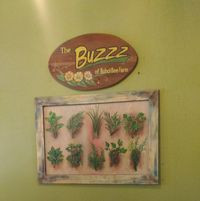 The Buzzz Cafe By Bohol Bee Farm