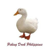 Peking Duck Philippines