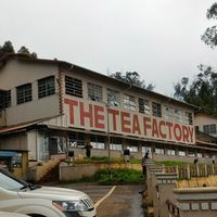 The Tea Factory Museum, Ooty, India