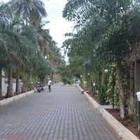 The Green Carpet Mmh Hotels Resorts Pvt