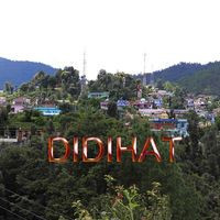 Simla Colony Didihat