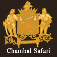 Chambal Safari