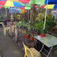 Jane's Orchid Garden 9th St. Guingona Subd. Butuan City